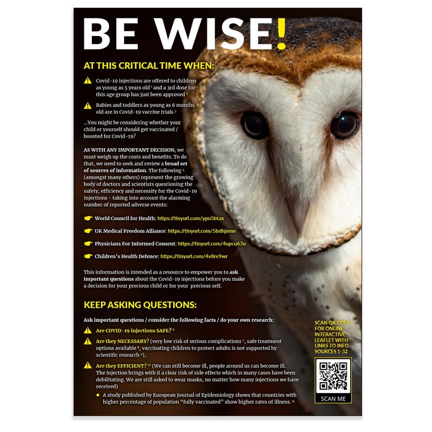 Be Wise leaflet cover pic